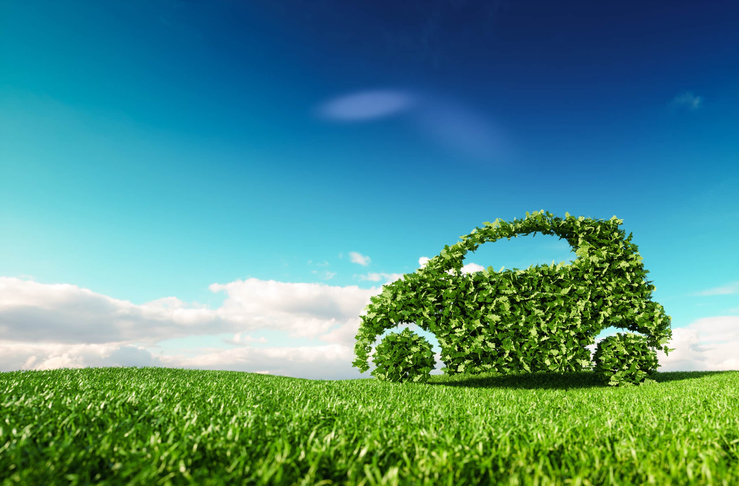 How to make your fleet more environmentally friendly